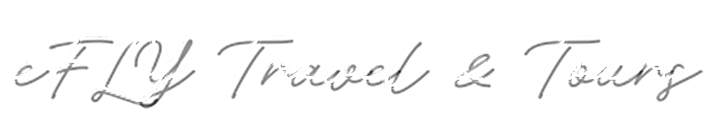 eFLY Travel